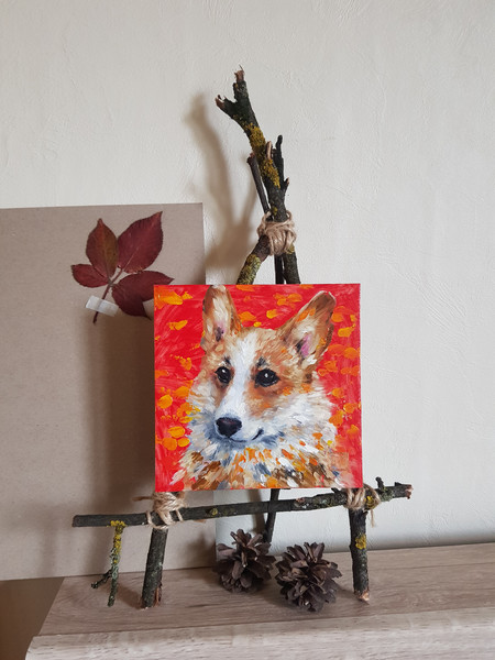 1 Portrait of a Welsh Corgi dog on a red background.DPW2.jpg