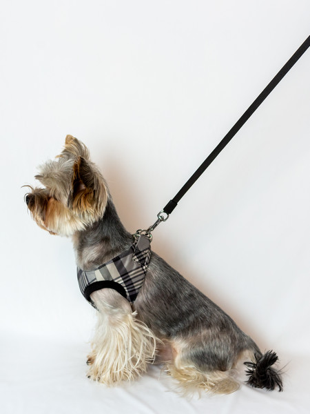 Benepaw Breathable No Pull Large Dog Harness Durable Reflective
