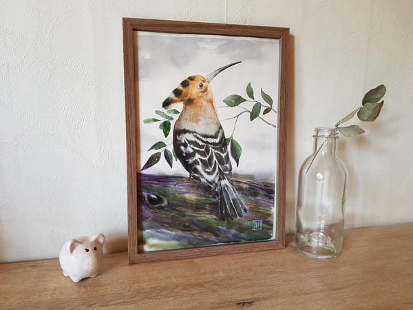 3Watercolor artworkl painting in a frame -  bird Hoopoe  8.2 - 11.6 in ( 21-29,7cm )..jpg