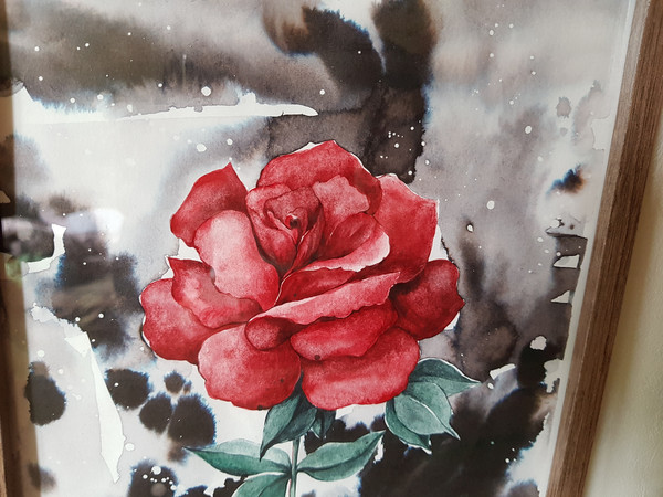 2 Watercolor workl painting in a frame - flower Red Rose  8.2 - 11.6 in ( 21-29,7cm )..jpg