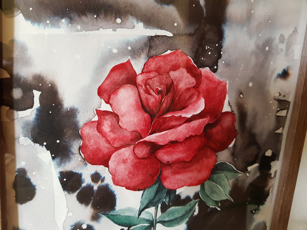 4 Watercolor workl painting in a frame - flower Red Rose  8.2 - 11.6 in ( 21-29,7cm )..jpg