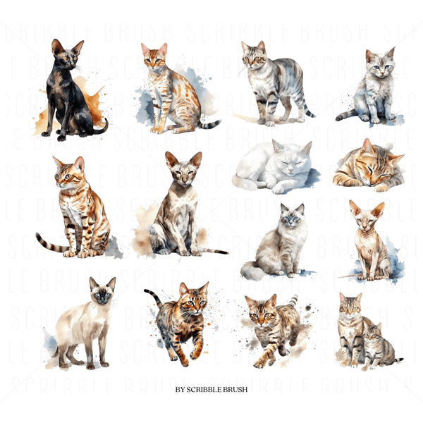 Any Cat breed watercolor clipart.png