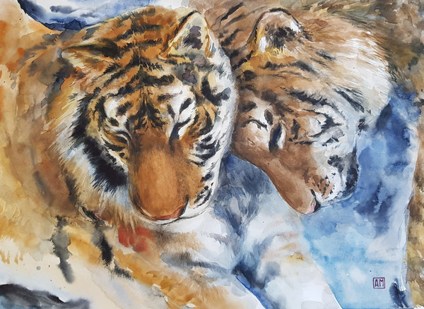 01 Watercolor artwork painting Family of tigers 21.2- 15.3 in (54 - 39 cm)..jpg
