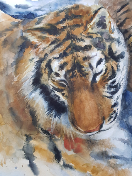 Portrait of tigers._Fragment.1.jpg