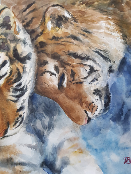 Portrait of tigers._Fragment.2.jpg