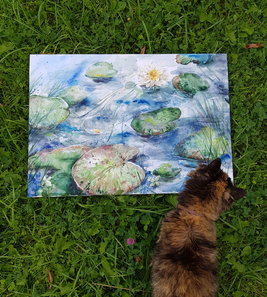 A pond with water lilies._Fragment.5.jpg
