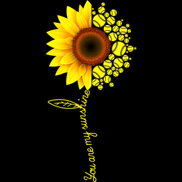 Sunflower  (190).jpg