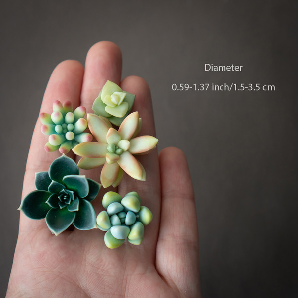 4_echeveria_sedum_polymer_clay_pin_set.jpg