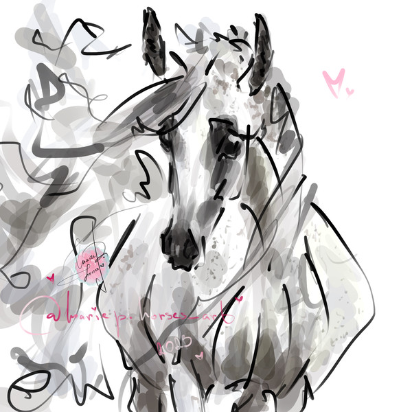 Light fleabitten bloody shoulder Grey Arabian Horse ART commission cute sketch doodle custom original equine artist cartoon illustration pet portrait realistic