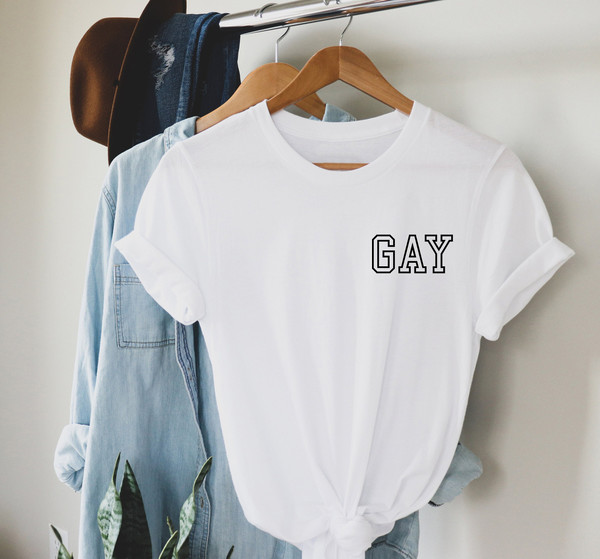 GAY pocket size T Shirt Perfect gift, Pride T shirt, Pride Shirt Unisex T shirt LGBT tee - 1.jpg