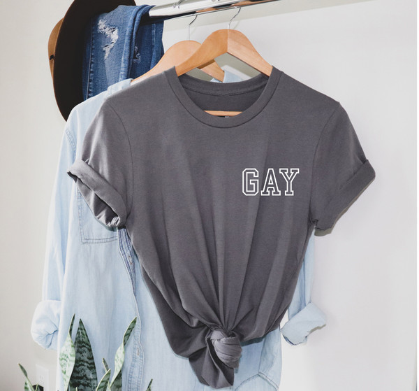 GAY pocket size T Shirt Perfect gift, Pride T shirt, Pride Shirt Unisex T shirt LGBT tee - 3.jpg