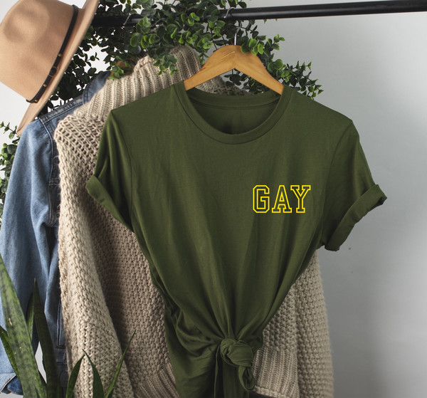 GAY pocket size T Shirt Perfect gift, Pride T shirt, Pride Shirt Unisex T shirt LGBT tee - 5.jpg