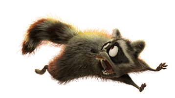 Racoon.png