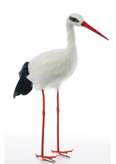 Large Artificial Wood Stork.PNG