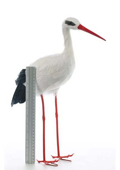 Large Artificial Wood Stork2.PNG