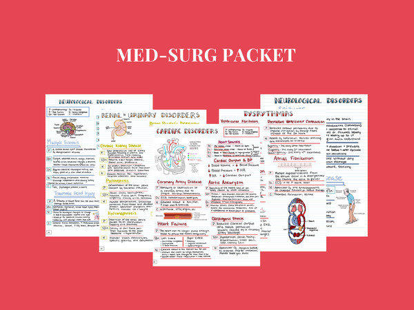 Nursing Study Guide Bundle (4).jpg
