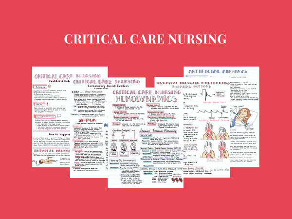 Nursing Study Guide Bundle (6).jpg