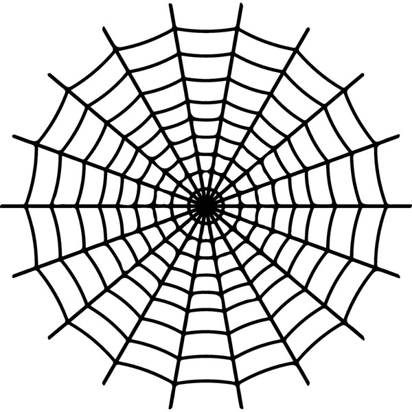 spiderweb-30.jpg