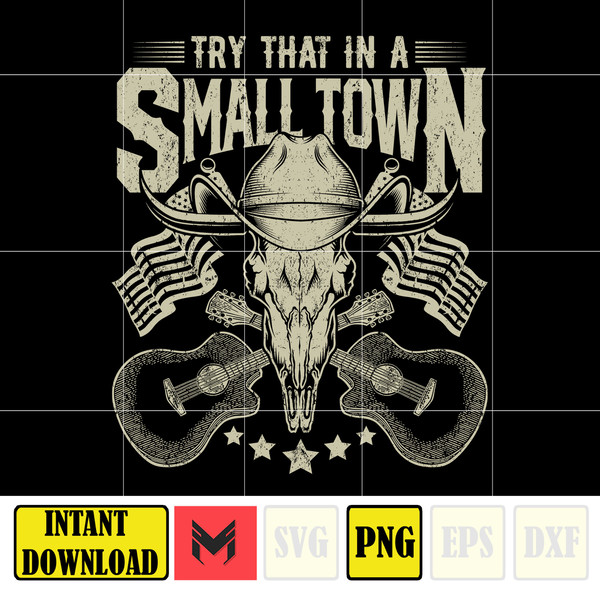 Try That In A Small Town PNG,Country Png, Southern Png, Jason Aldean Png, Girl Country Png, Country Music Png (19).jpg