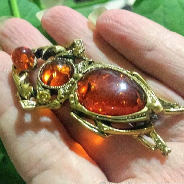 Scarab Beetle Brooch Insect Brooch Gift for Women Men Egypt Jewelry Amulet Love Luck Gold Red Amber Bug Brooch pin.jpg