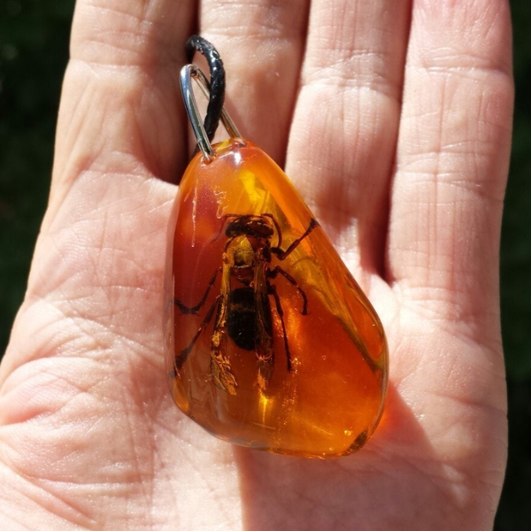 Real insect in Resin Keychain Bee Honey Amber Epoxy Resin Keychain Insect taxidermy in Resin honeybee keyring Nature Key chain Gift to friends  key ring insect
