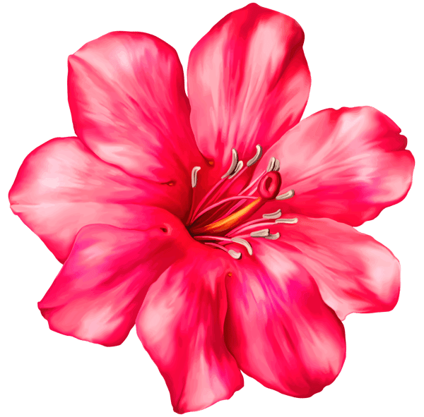 Flower (1).png