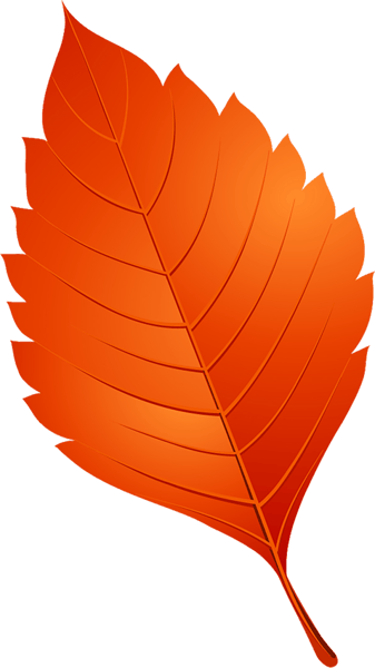 Leaves (3).png