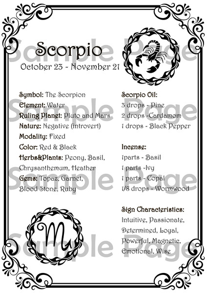 Scorpio3-01.jpg