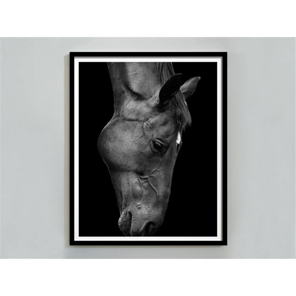 MR-482023185254-horse-photography-black-and-white-horse-print-digital-download-horse-portrait-horse-printable-wall-art-horse-poster-fine-art-print.jpg