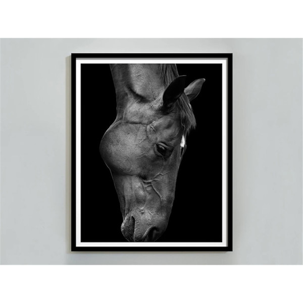 MR-58202312034-horse-photography-black-and-white-horse-print-digital-download-horse-portrait-horse-printable-wall-art-horse-poster-fine-art-print.jpg