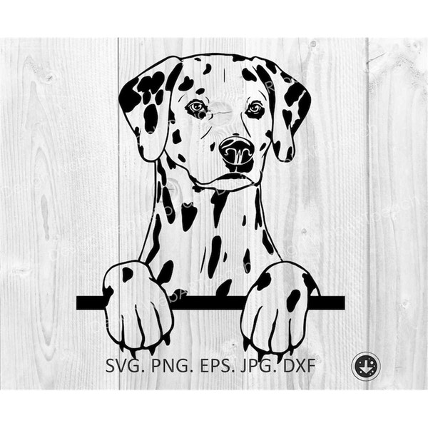 My dog stepped on a bee SVG and JPG (Digital Download) for cricut,  silhouette, aeon, cnc