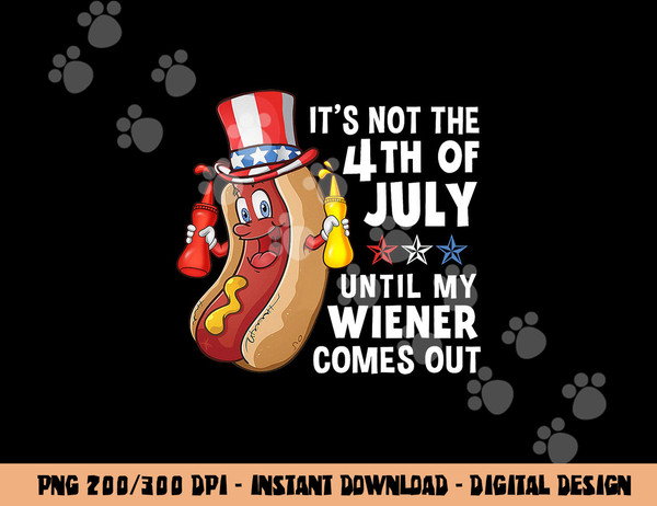 its not  4th of july until my wiener comes out hot dog  copy.jpg