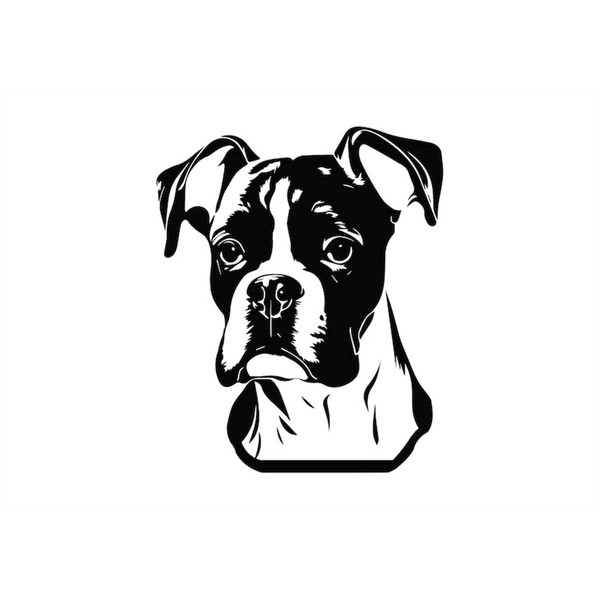 MR-118202313468-boxer-head-svg-boxer-head-clipart-boxer-head-dog-svg-files-image-1.jpg