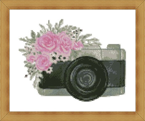 Camera With Pink Rose2.jpg