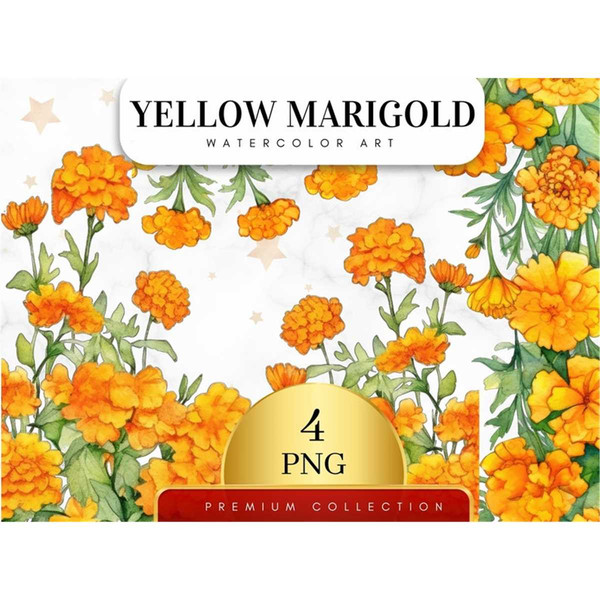 MR-278202317203-set-of-4-watercolor-yellow-marigold-clipart-floral-png-image-1.jpg