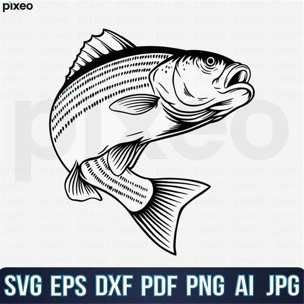https://www.inspireuplift.com/resizer/?image=https://cdn.inspireuplift.com/uploads/images/seller_products/1693142705_MR-278202320250-striped-bass-fishing-svg-fishing-svg-striped-bass-fish-svg-image-1.jpg&width=600&height=600&quality=90&format=auto&fit=pad