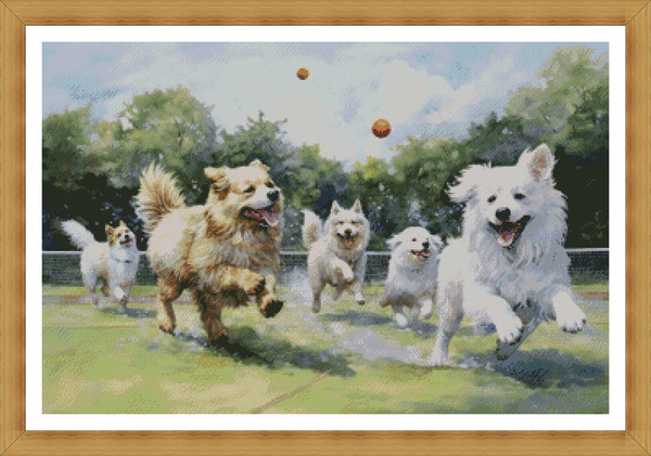 Dogs Play Catching Ball2.jpg