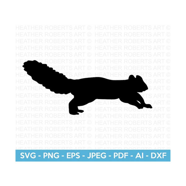 MR-2092023111720-squirrel-svg-baby-squirrel-svg-cute-squirrel-svg-forest-image-1.jpg