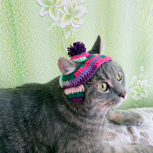 Cat-hat-crochet-pattern-Amigurumi-PDF-Crochet-cat-hat-patterns-for-beginners-14.jpg