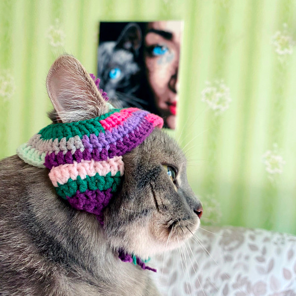 Cat-hat-crochet-pattern-PDF-Crochet-pattern-for-beginners-Digital-amigurumi-cat-hat-10.jpg