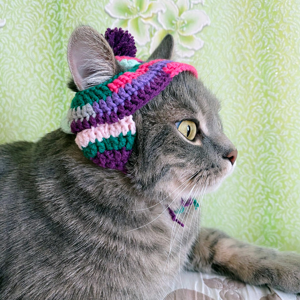 Cat-hat-crochet-pattern-PDF-Crochet-pattern-for-beginners-Digital-amigurumi-cat-hat-21.jpg