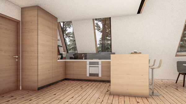 Modern A Frame Cabin, 28ft by 45ft, 1260 sq. ft. Tiny House 1 (14).jpg