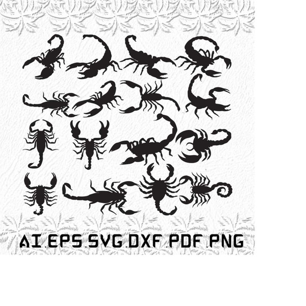 MR-2892023224739-scorpion-svg-scorpions-svg-drape-svg-rap-mk-svg-ai-pdf-image-1.jpg