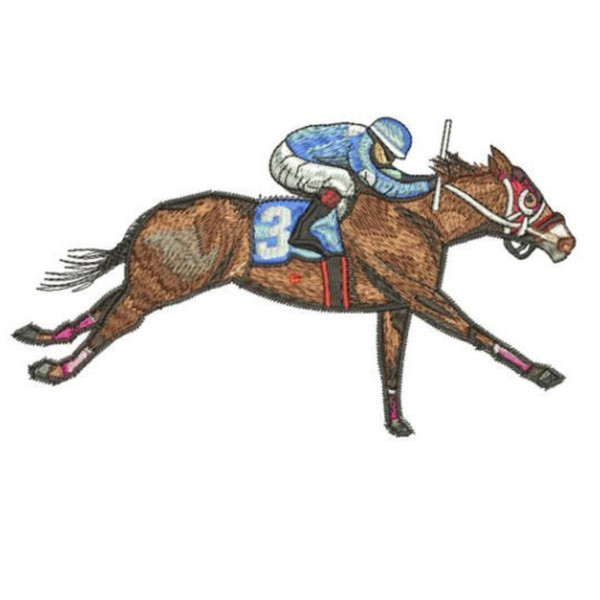 Racing horse .jpg