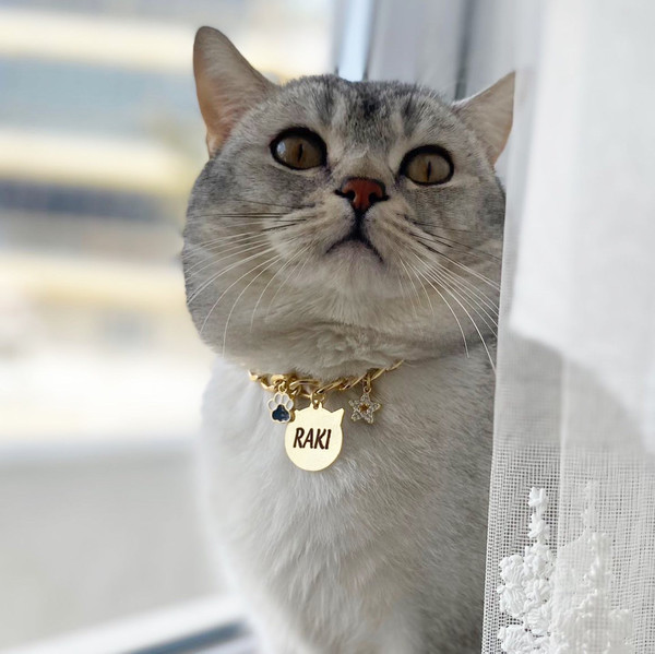 golden cat name tag.JPG