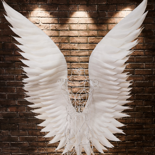 Women,Angel wings.jpg