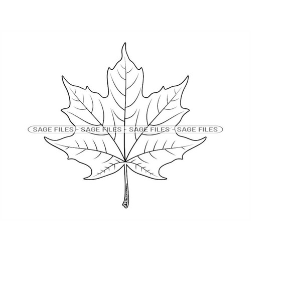 MR-6102023104358-maple-leaf-outline-svg-maple-leaf-svg-autumn-svg-maple-leaf-image-1.jpg