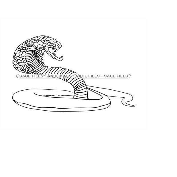 MR-6102023154048-cobra-outline-3-svg-cobra-svg-snake-svg-cobra-clipart-image-1.jpg