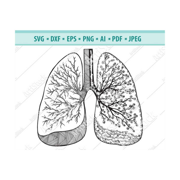 MR-11102023151035-human-lung-svg-lungs-svg-flowery-human-lung-silhouette-image-1.jpg