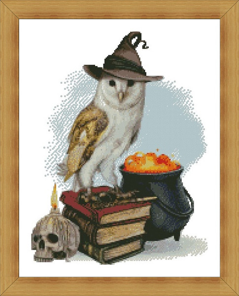 Barn Owl Wearing Witch Hat2.jpg